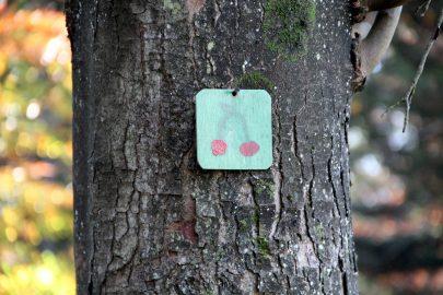 Namig za jesenski planinski izlet v bližnjo okolico 1